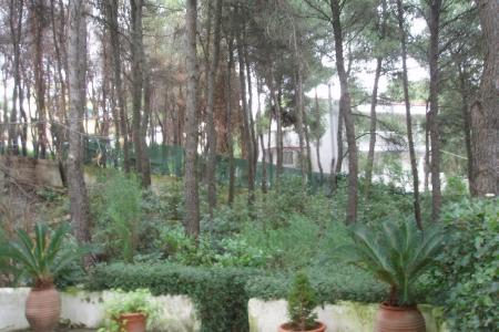 Προκόννισος οικόπεδο 780 τ.μ προς πώληση