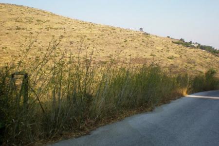 Ανθούσα οικόπεδο 570 τ.μ προς πώληση