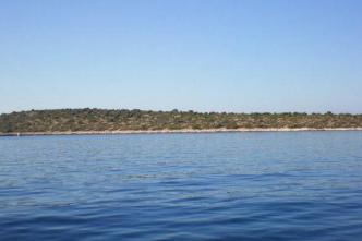 Ιόνιο νησί 1.150 στρ προς πώληση