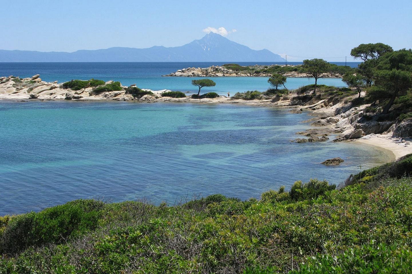 Χαλκιδική οικόπεδο 28.000 τ.μ προς πώληση.