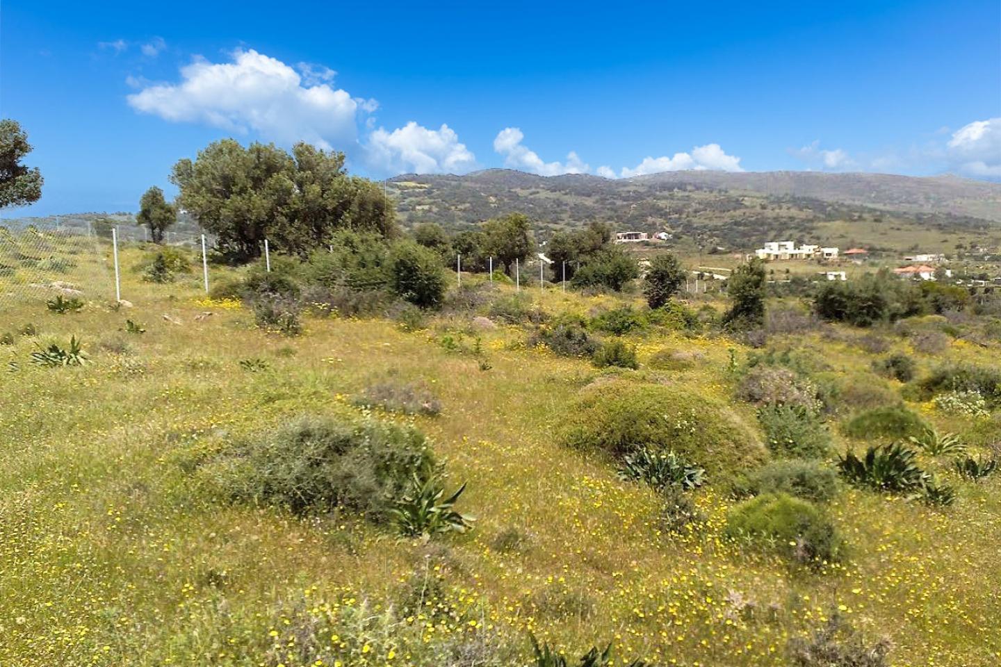 Εύβοια δύο οικόπεδα 4.000 τ.μ προς πώληση