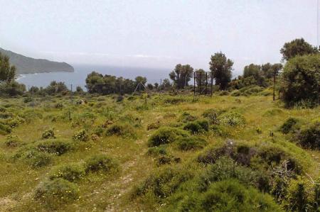 Εύβοια δύο οικόπεδα 4.000 τ.μ προς πώληση