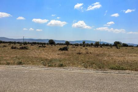 Θριάσιο οικόπεδο 14.500 τ.μ προς πώληση