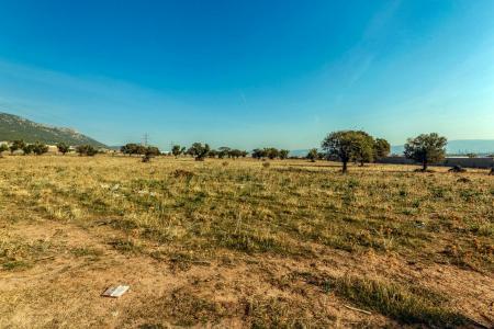 Ασπρόπυργος οικόπεδο 50.000 τ.μ προς πώληση