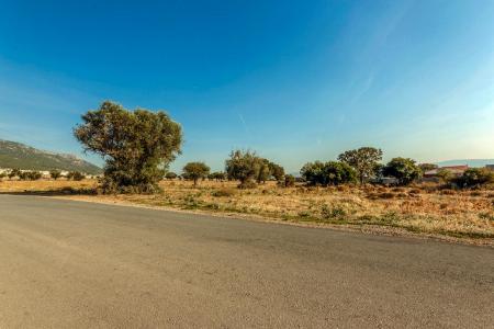 Ασπρόπυργος οικόπεδο 100.000 τ.μ προς πώληση