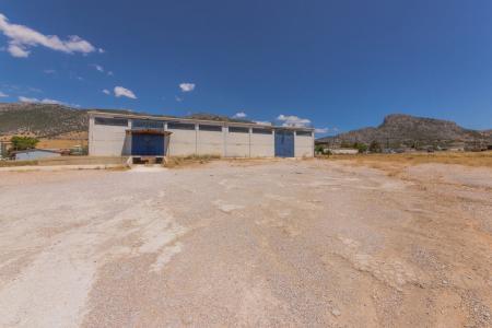 Ασπρόπυργος επαγγελματικός χώρος 1.000 τ.μ