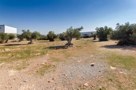 Μάνδρα βιομηχανικό οικόπεδο 10.700 τ.μ, προς πώληση