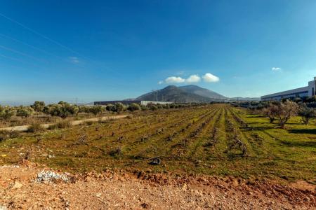 Αττική βιομηχανικό οικόπεδο 24.000 τ.μ, προς πώληση