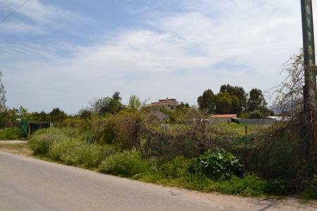 Σχινιάς αγροτεμάχιο 7.200 τ.μ προς πώληση