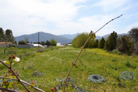 Σχινιάς αγροτεμάχιο 7.200 τ.μ προς πώληση