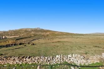 Μύκονος οικόπεδο 43.000 τ.μ προς πώληση