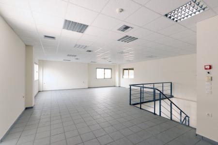 Μάνδρα αποθήκη 3.500 τ.μ προς ενοικίαση