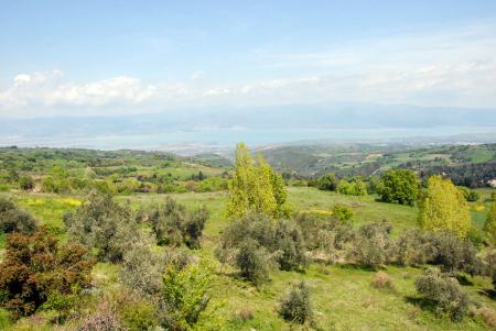 Μονοκατοικία 568 τ.μ προς πώληση, κεντρική Ελλάδα