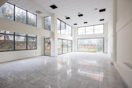 Ενοικιάζεται επαγγελματικό κτιρίο 2.400 τ.μ, Χολαργός