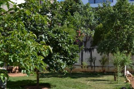 Πεντέλη μεζονέτα 280 τμ προς ενοικίαση