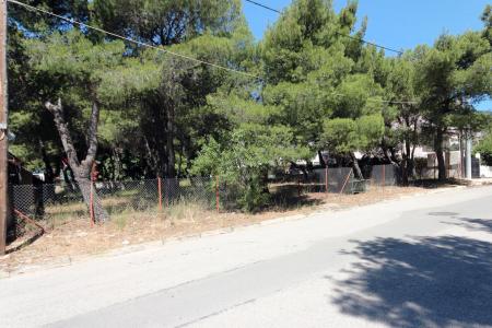 Θρακομακεδόνες πώληση οικοπέδου 1.000 τμ