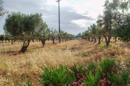 Αχαρνές επαγγελματικό οικόπεδο 8.400 τ.μ  προς πώληση