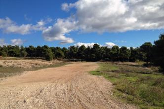 Αχαρνές έκταση 25.000 τ.μ προς πώληση