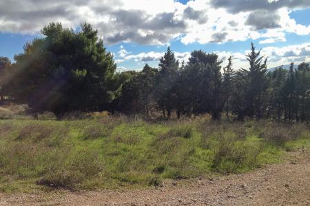 Αχαρνές έκταση 25.000 τ.μ προς πώληση