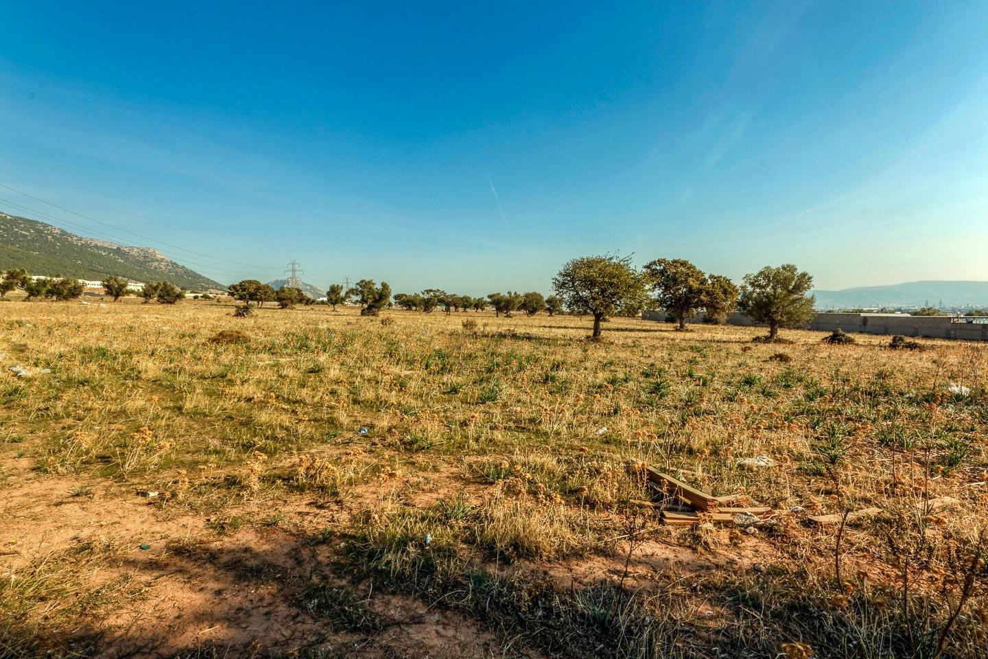 Ασπρόπυργος οικόπεδο 13.000 τ.μ προς πώληση