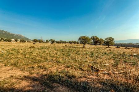 Ασπρόπυργος οικόπεδο 13.000 τ.μ προς πώληση