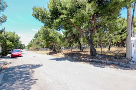 Θρακομακεδόνες πωλείται κεντρικό οικόπεδο 1.000 τ.μ