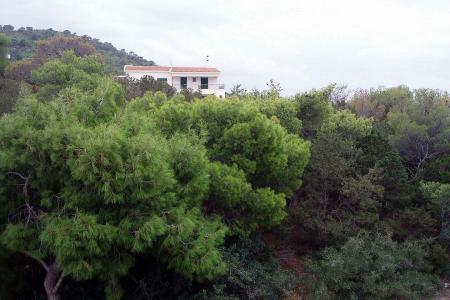 Κερατέα, μεζονέτα 250 τμ, προς πώληση