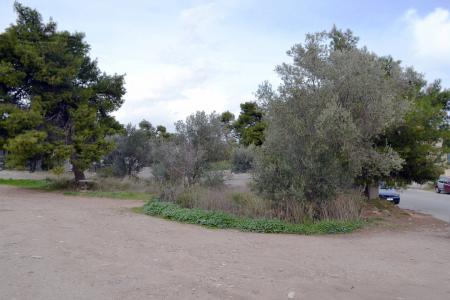 Ραφήνα οικόπεδο 740 τ.μ προς πώληση