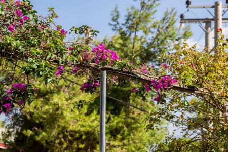 Κάλαμος εξαιρετική μονοκατοικία 105 τ.μ προς πώληση