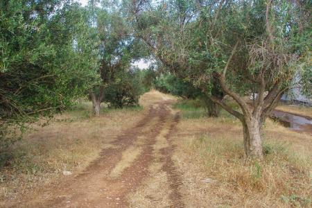 Αχαρνές βιομηχανικό οικόπεδο 7.000 τ.μ προς πώληση