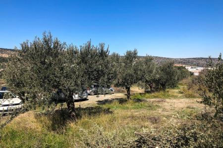 Βιομηχανικό οικόπεδο 7.000 τ.μ προς πώληση, Κορωπί