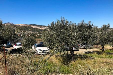 Βιομηχανικό οικόπεδο 7.000 τ.μ προς πώληση, Κορωπί